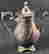 item-121011450=2