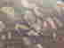 item-121011822=2
