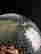 item-121514188=6