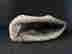 item-121514191=7
