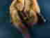 item-121514200=4