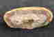 item-121514354=3