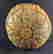 item-121514998=3