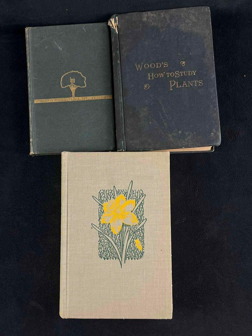 Vintage Botany Books Flowers, Trees (1 of 10)