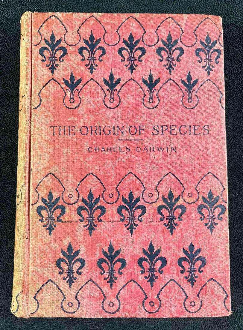 Charles Darwin The Origin of Species Antique Book: Charles Darwin The Origin of Species Antique Book This is an antique print of The Origin of Species by Charles Darwin. This book is hardcover in good condition with no significant damage, just some sl