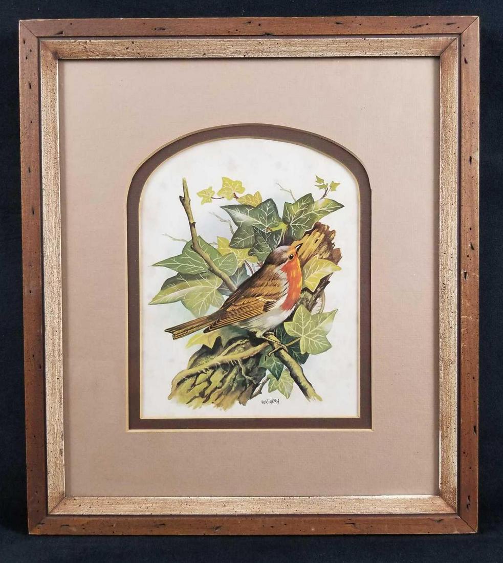 Framed Vortigern Bird Print by Dan Vaughn 1970 (1 of 8)