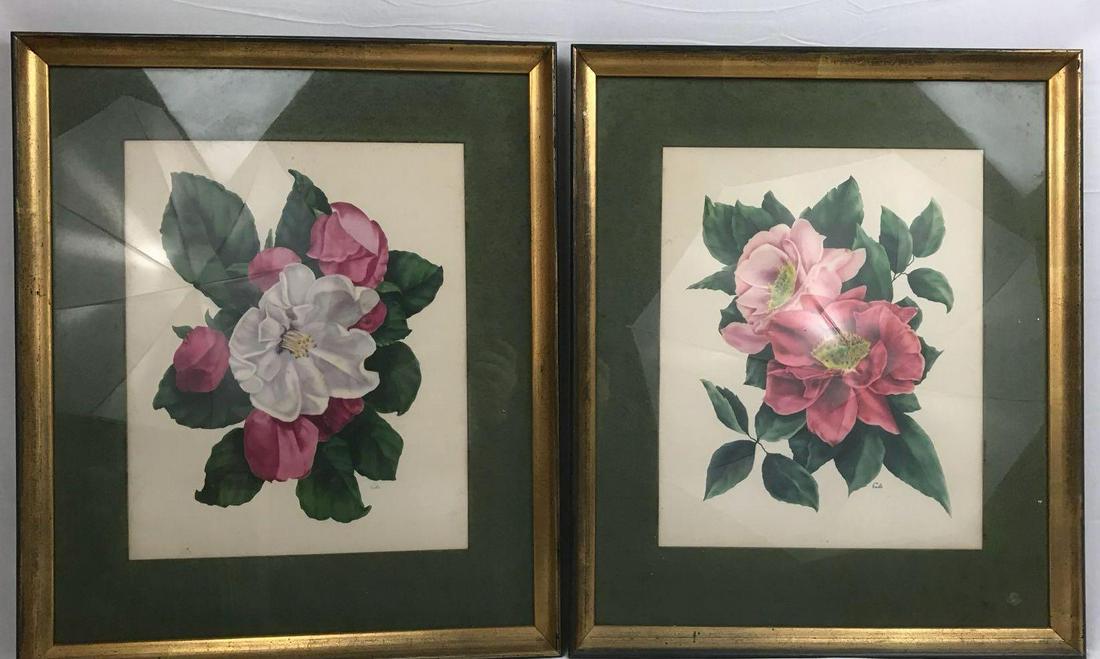 2 Framed Prints Cammilias by Eula (1 of 18)