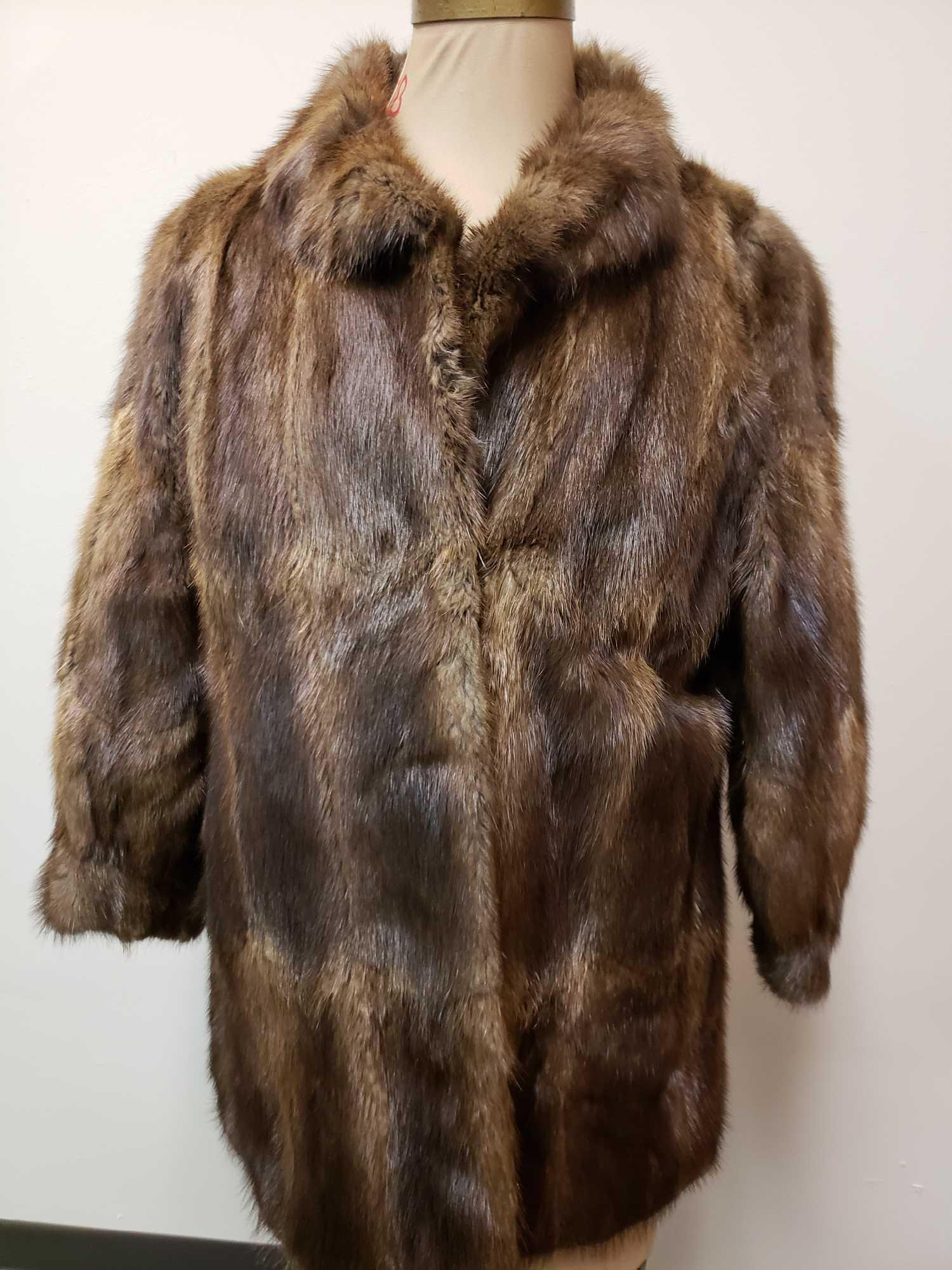 Nutria Mid Length Fur Coat (0051) on Apr 05, 2022 Rapid Estate
