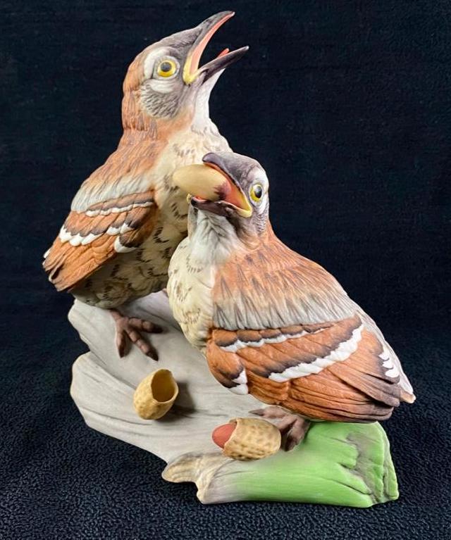 Boehm Pair of Fledgeling Brown Thrashers (1 of 7)