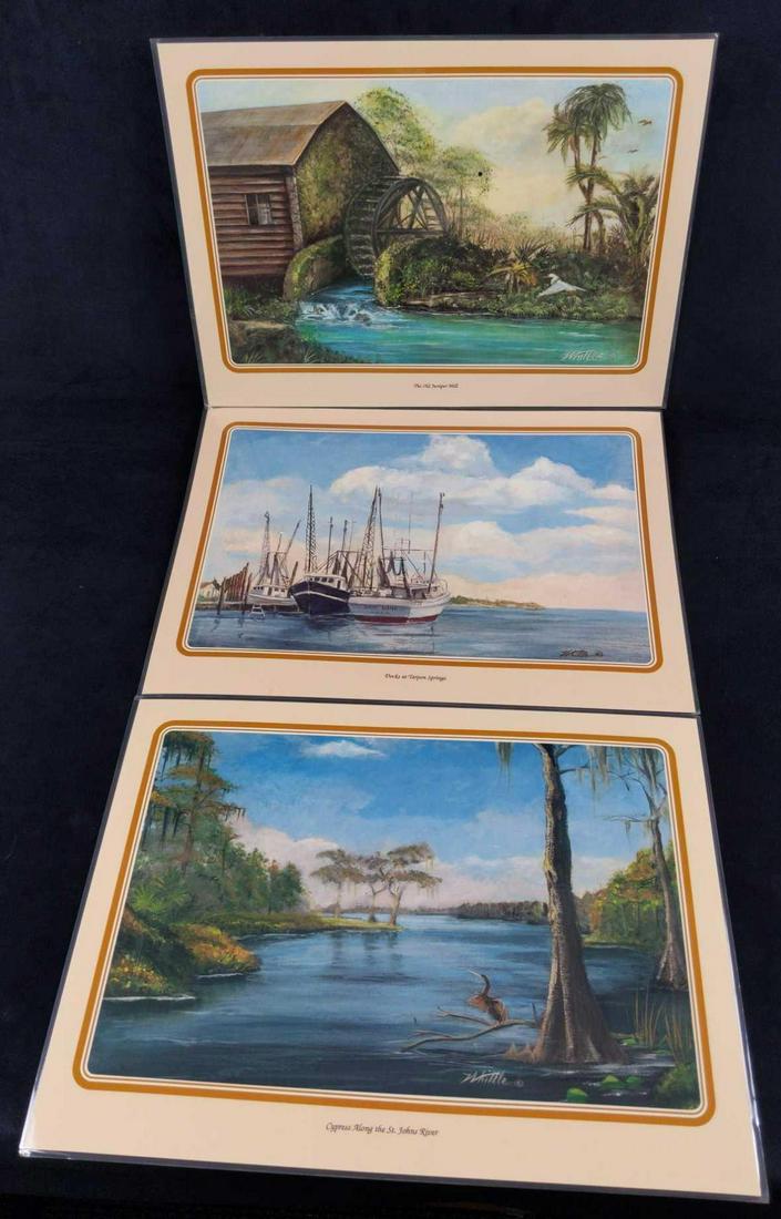 13 Mary Quinnan Whittle Old Florida Art Placemats E (1 of 8)