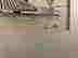 item-127921259=3