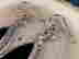 item-129020715=4