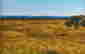 item-129171969=2