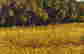 item-129171969=3