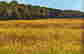 item-129171969=4