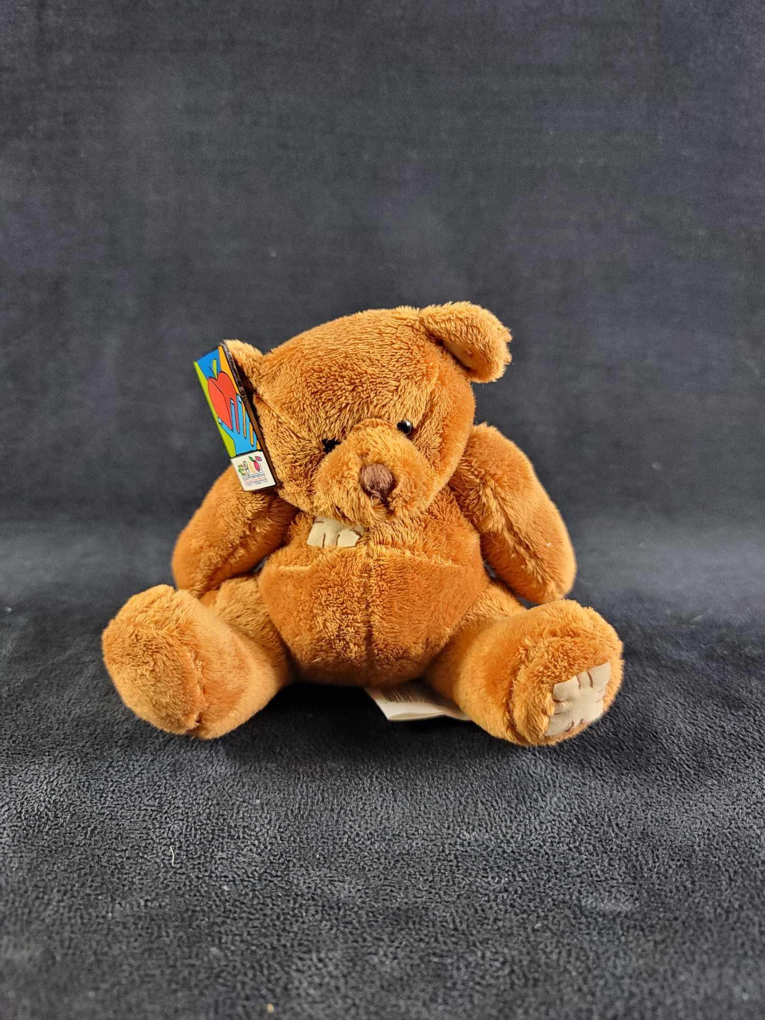 Epcot Pin Food and Wine Festival Teddy Bear: This lot contains a soft plush teddy bear, made in china, and the pin attached to the ear is Epcots Food and Wine Festival pin for 2002. In good condition, with no known damages. Approx. measures 5" x