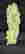 item-129272457=3