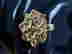 item-129303337=2