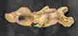 item-129303998=2