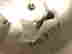 item-129304045=3
