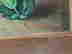 item-129319928=3