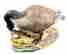 item-129320105=2