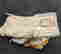 item-131156214=5