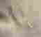 item-131228791=6