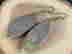 item-131312378=6