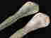 item-131460537=10