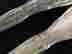 item-131460537=11