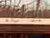 item-131579647=5