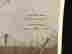 item-131579647=9