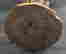 item-131579881=7