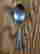 item-131580127=2