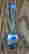 item-131580127=7