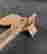 item-131580195=6