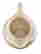 item-131580513=6