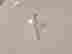 item-131580513=7