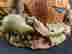 item-131581492=6