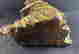 item-131581568=9