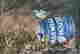item-131581854=2