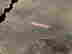 item-131623017=7