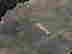 item-131623017=8