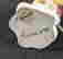 item-131623211=15