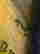 item-131623270=2