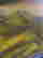 item-131623270=4