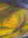 item-131623270=5