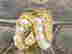 item-131629869=3