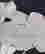 item-131677073=3